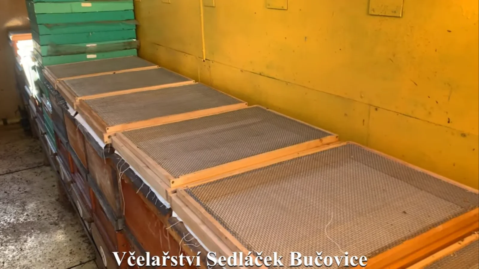 ŘÍJEN – přeléčení bezplodých včelstev a prodej medu jako odměna za vaši práci