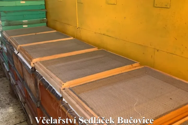 ŘÍJEN – přeléčení bezplodých včelstev a prodej medu jako odměna za vaši práci
