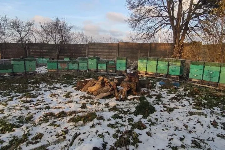 LEDEN - nový začátek?
