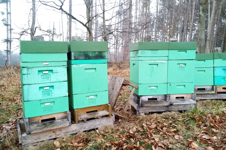 BŘEZEN za kamna vlezem, ale včelaři rozhodně ne